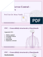 C1 - Sistemul Nervos Central