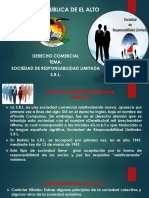 Tema Sociedad de Responsalibidad Limitada S.R.L.