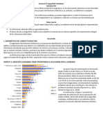 Semana 05 Seguridad Ciudadana