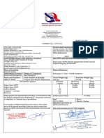 Commercial Invoice 2