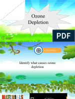 3.5. Ozone Depletion