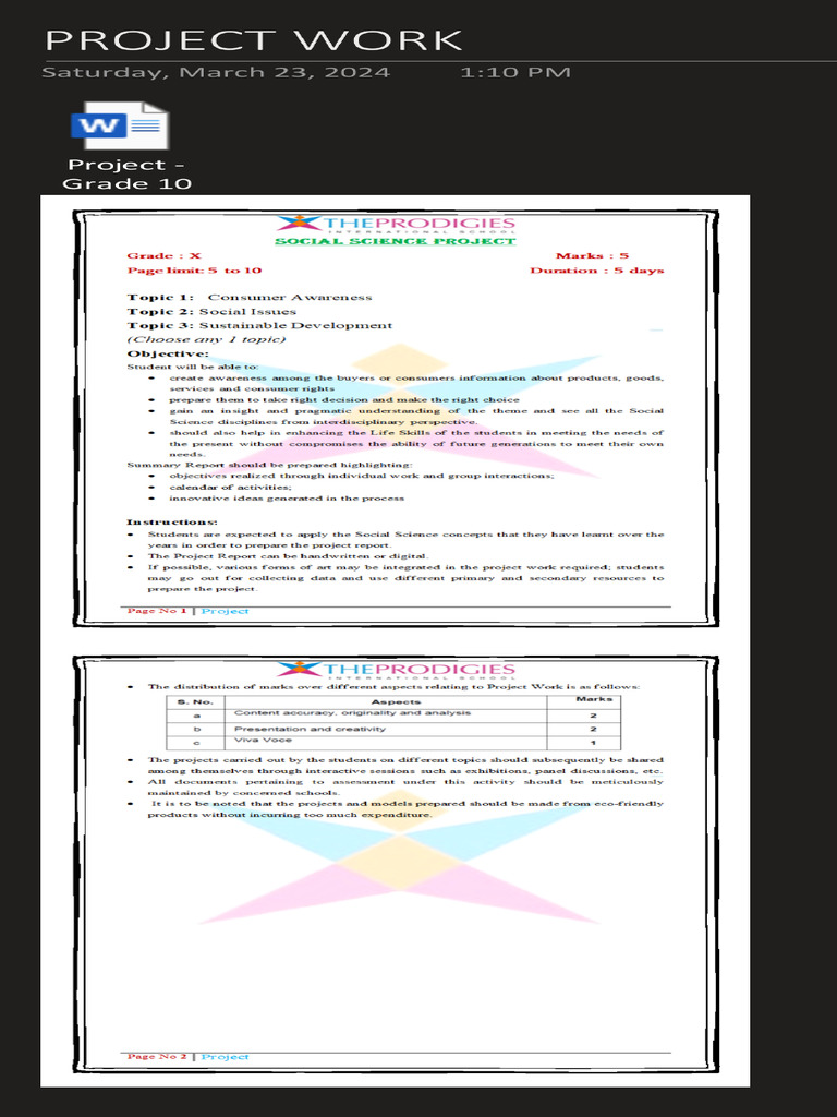 Project Work | PDF