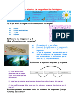 Guia Nº3 6tos Básicos Evaluación Formativa Niveles de Organizaciòn Biológica