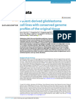 Patient-Derived Glioblastoma Cell Lines With Conserved Genome Profiles of The Original Tissue