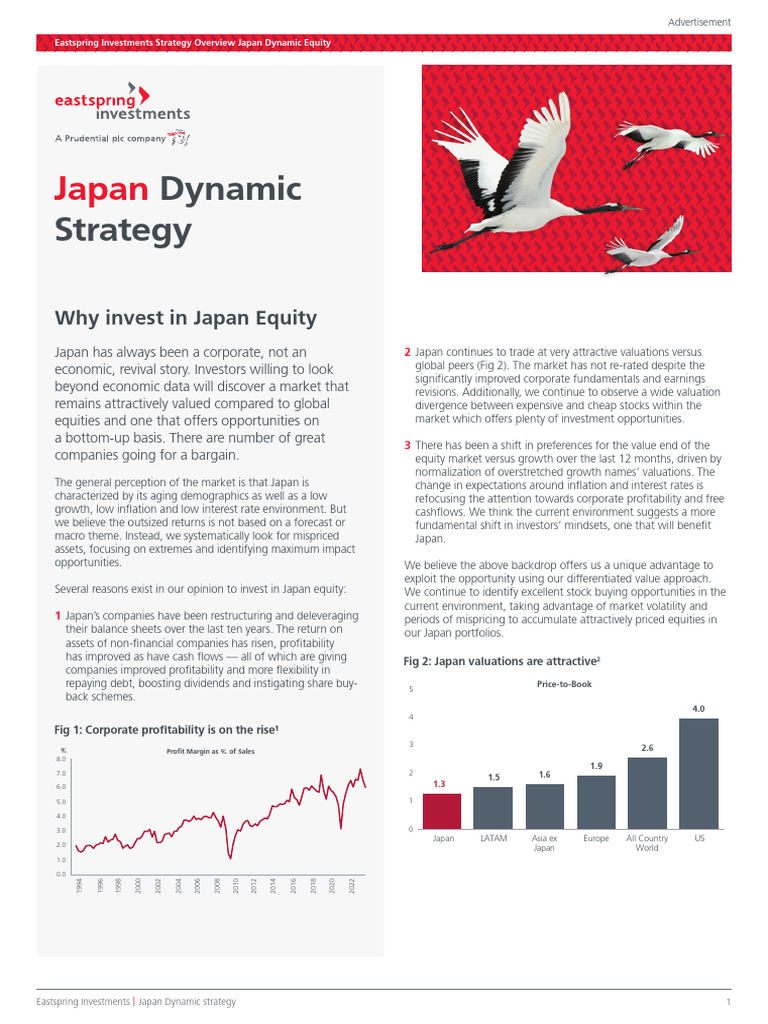 Japan Dynamic Equity Investment Strategy | PDF | Investment Fund ...