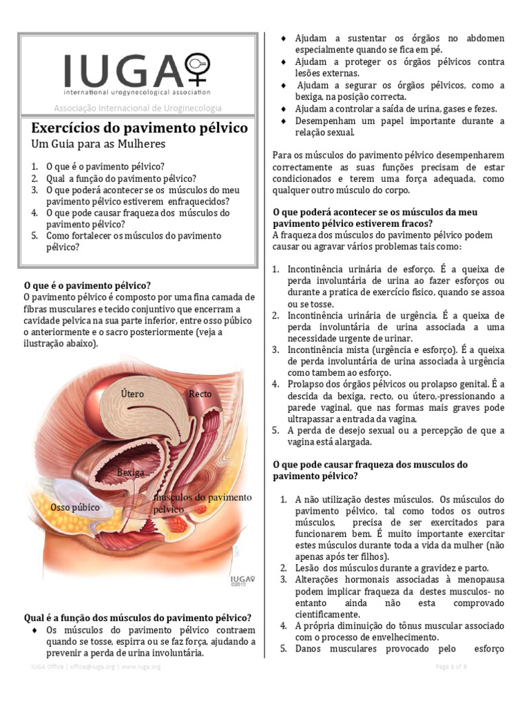 MANUAL - Exercícios de Kegel (MAP) | PDF | Pélvis | Músculo