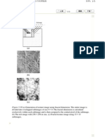Figure 5.10 (A) Generation of Texture Image Using Fractal Dimension. The Entire Image Is
