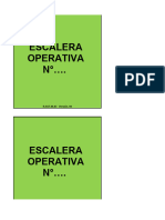 R.SST.06.03 Escalera Operativa