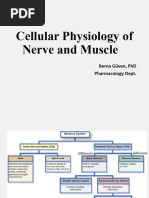 Cellular Physiology of Nerve and Muscle - 2024