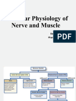 Cellular Physiology of Nerve and Muscle_2024