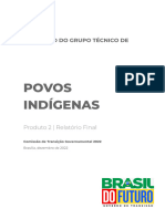 RELATÓRIO_FINAL GT dos Povos Indígenas (1)