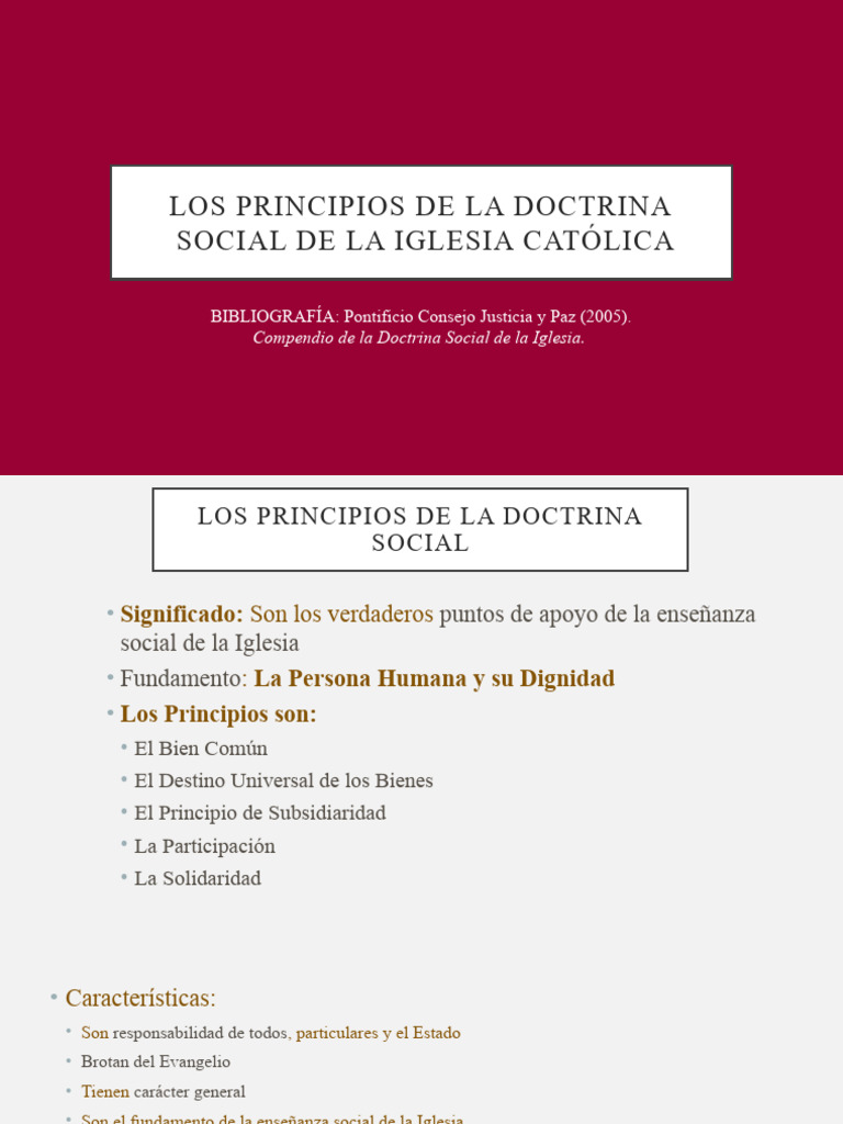 Principios de Doctrina Social Católica | PDF | Iglesia Católica | Justicia