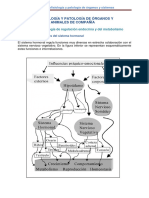 3.1 Anatomofisiologia y Patologia de Organos y Sistemas en Animales de Companya