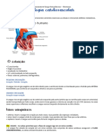 Fisiologia Cardiovascular 230822 195959