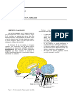 Sistema Nervioso 4. Nervios Craneales + Tabla