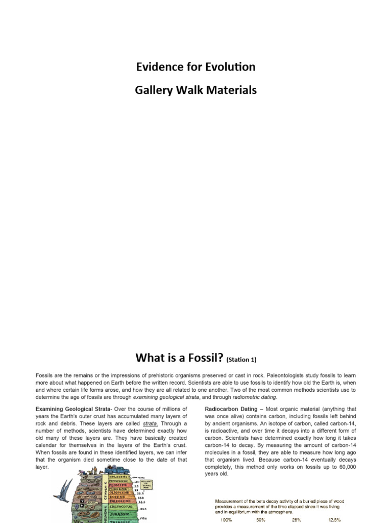 Fossils and Evidence of Evolution | PDF | Homo | Homology (Biology)