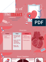 Anatomy of The Heart Assignment