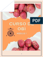 PDF Apostila Curso de Obi Compress