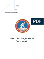 Neurobiología de La Depreión