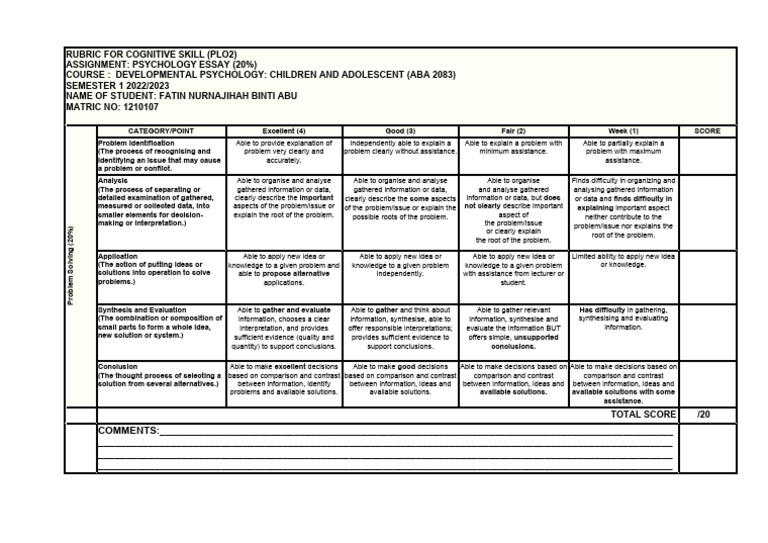 Developmental Psychology Essay Rubric | PDF | Information | Knowledge