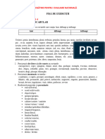 TEMă-Alcătuiește Enunțuri Conform Indicațiilor Date-Exerciții Recapitulative EN