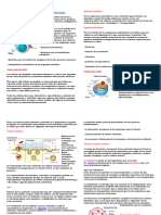 Nutrición de La Célula