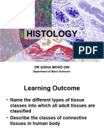 2.4 Histology