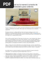 Aprende Cuál Es La Manera Correcta de Utilizar Un Bebedero para Colibríes