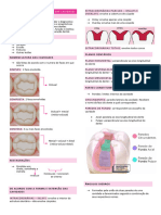 Dentística 