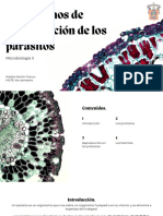 Mecanismos de Reproducción de Los Parásitos - 20240409 - 185752 - 0000