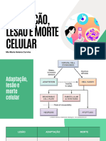 2 Patologia Adap Lesao e Morte