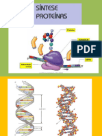 3 Sintese Proteíca Dna Bio11