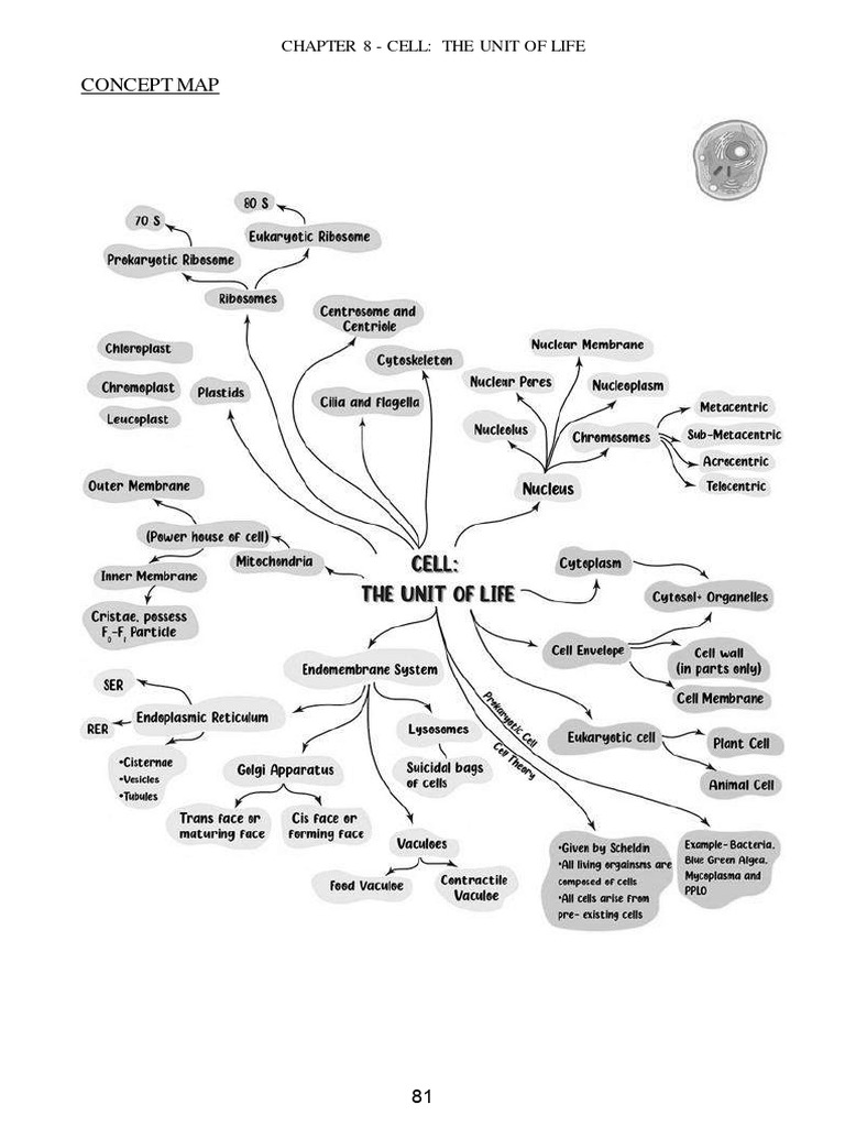 Biology Study Material - Xi - 22-23-Compressed - 0 | PDF | Cell ...