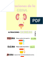 Alteraciones en La Orina