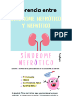 Diferencia Entre Sindrome Nefrotico y Nefritico