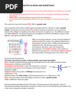 Chapter 18 Notes