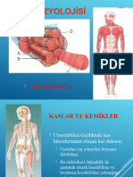 Kas Fizyolojisi 2017-2018