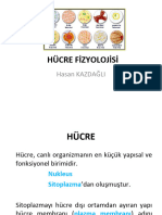 Hücre Fizyolojisi 2017-2018