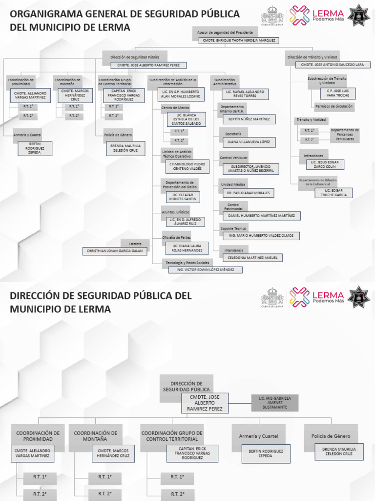 Organigrama de Seguridad Pública Lerma | PDF