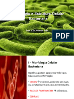 Microbiologia Cap 2