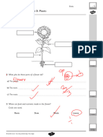 Topic 2c. Plants Assessment