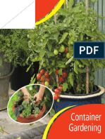 Container Growing 466592
