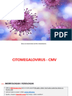 Citomegalovirus - 2024