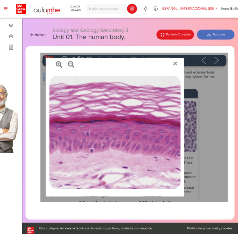 Human Body Tissues Overview | PDF | Epithelium | Tissue (Biology)