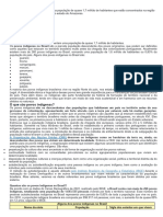 Trabalho de Arte Povos e Regiões Indígenas No Brasil