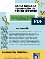 Structure of DNA Science Presentation in Light Blue Green Lined Style