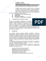 Proceso de Una Auditoria Financiera LG