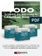 Todo_sobre_el_Regimen_Laboral_Publico_Ce