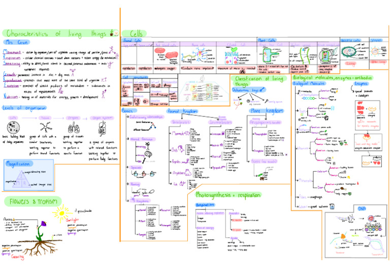 IGCSE Biology Summary Notes | PDF | Cell (Biology) | Cell Nucleus