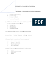 Exemple Subiecte Examen Anatomie Patologica Semestrul 2